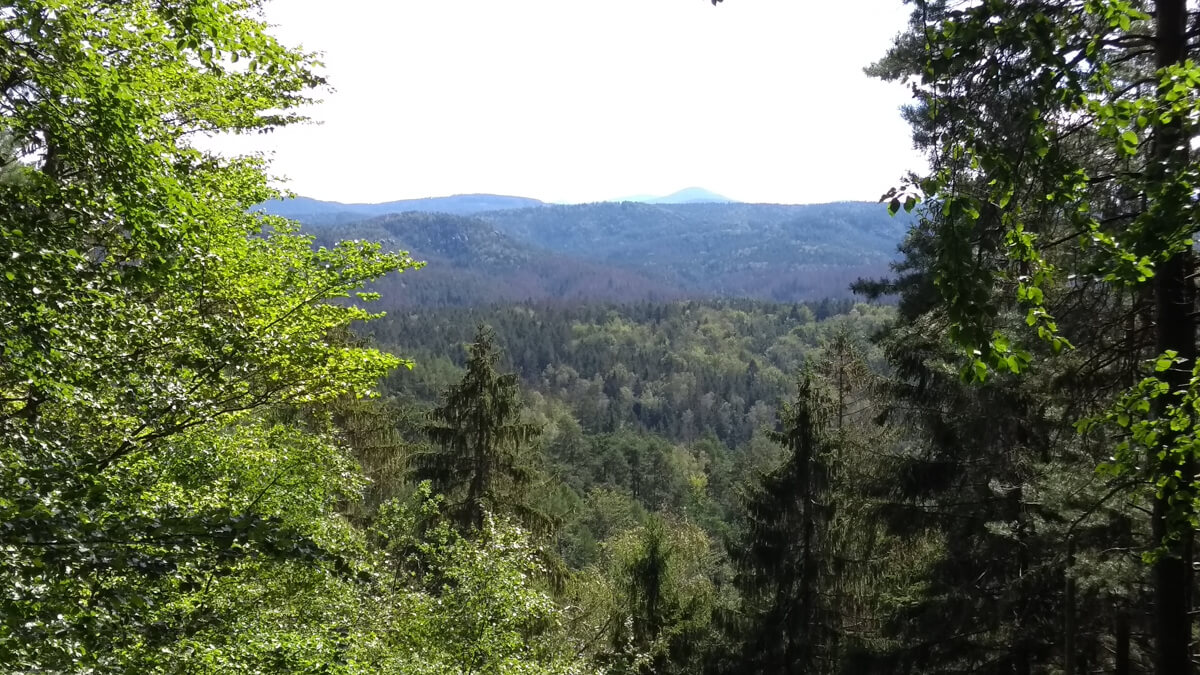 image from Böhmische Schweiz