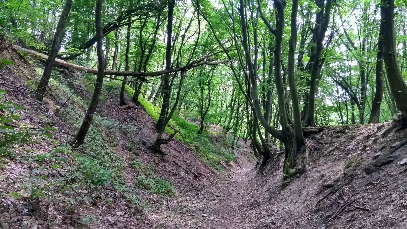 image from Hiking Slovakia #2